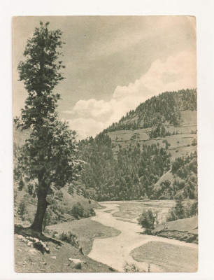 FA42-Carte Postala- GEORGIA - Valea Adjaris-Tskali ,necirculata 1955 foto