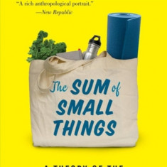 The Sum of Small Things: A Theory of the Aspirational Class