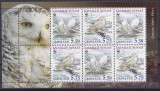 DB1 Fauna Pasari WWF Groenlanda 1999 MS MNH