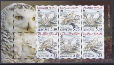 DB1 Fauna Pasari WWF Groenlanda 1999 MS MNH foto