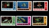 Insulele Cayman 1978 - Pești, fauna, serie neuzata