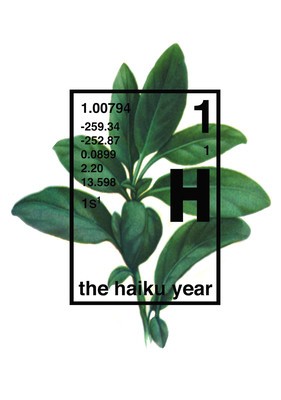 The Haiku Year foto