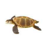 Figurina - Green Sea Turtle | Safari