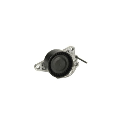 Intinzator curea RENAULT SC&amp;iuml;&amp;iquest;&amp;frac12;NIC III JZ0 1 DAYCO APV3205 foto