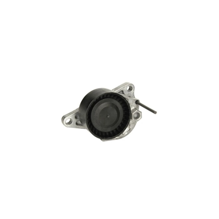 Intinzator curea RENAULT SC&iuml;&iquest;&frac12;NIC III JZ0 1 DAYCO APV3205