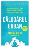 Calugarul urban