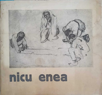 MUZEUL DE ARTA BACAU. DESENUL IN OPERA LUI NICU ENEA-CATALOG INTOCMIT DE EUGENIA ANTONESCU foto