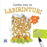 Cartea mea cu labirinturi - Didactica Publishing House