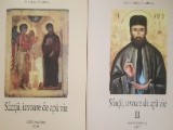 Sfinții, izvoare de apă vie - Cătălin Niculescu. 2 vol