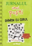 Cumpara ieftin Ghinion cu carul. Seria Jurnalul unui pusti. Volumul 8/Jeff Kinney