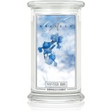 Kringle Candle Winter Iris lum&acirc;nare parfumată 624 g
