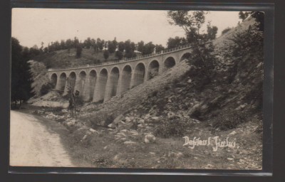 CPIB 21000 CARTE POSTALA - DEFILEUL JIULUI, AGFA foto