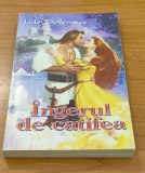 Jude Devereaux - &Icirc;ngerul de catifea, Jude Deveraux