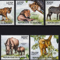 BURUNDI-2012-Fauna africane-specii trecute pe lista rosie-Set de 5 timbre MNH