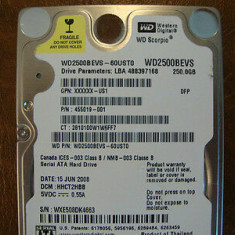 hdd hard disk laptop Western Digital Scorpio WD2500BEVS-60ust0 250 GB - SATA