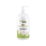 Sampon &amp; Gel de Dus Fara Lacrimi pentru Copii cu Mar Verde si Aloe 500 mililitri Bubbles