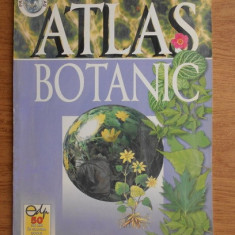 Florica Tibea - Atlas botanic (2001)