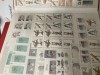 21 albume cu timbre RFG, DDR, Germania dupa 1990, Stampilat