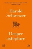 Despre așteptare - Paperback brosat - Harold Schweizer - Curtea Veche