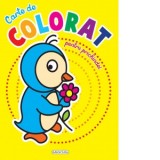 Carte de colorat pentru prichindei