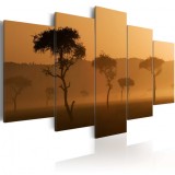 Cumpara ieftin Tablou - Fog over a savannah 200x100 cm