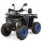 ATV XTR Pro Hurricane, roti 8 inch, 150cc, 3+1 viteze, culoare negru/albastru Cod Produs: MX_NEW XTR-003/8PRO31-3