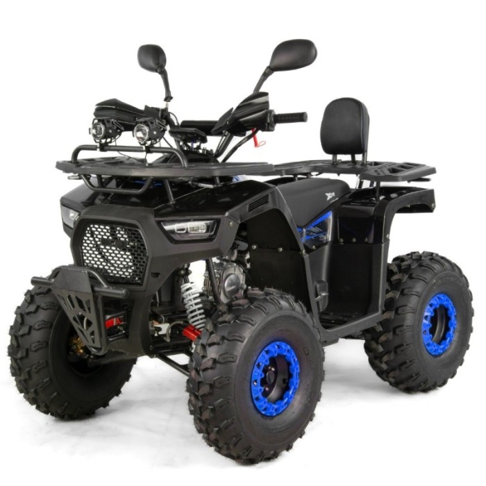 ATV XTR Pro Hurricane, roti 8 inch, 150cc, 3+1 viteze, culoare negru/albastru Cod Produs: MX_NEW XTR-003/8PRO31-3