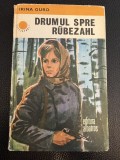 Drumul spre Rubezahl - Irina Guro