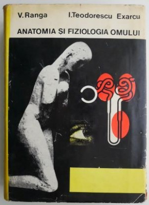 Anatomia si fiziologia omului - V. Ranga. I. Teodorescu Exarcu (supracoperta uzata) foto