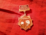 Insigna Militara URSS Slava Parasutistilor Militari de desant , metal si email , h=5,7cm