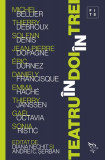 Teatru &icirc;n doi, &icirc;n trei - Paperback brosat - Andrei C. Șerban, Diana Nechit - Universitatea Lucian Blaga Sibiu