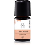 Kindgesund Learn Well ulei aromatic pentru copii 5 ml