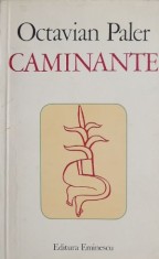 Caminante - Octavian Paler foto
