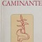 Caminante - Octavian Paler