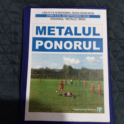 program Metalul Brad - Ponorul Vata foto