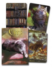 Cats Inspirational Oracle Cards foto