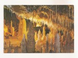 RF83 - Carte Postala - Pestera Ursilor - Chiscau, Jud Bihor, necirculata