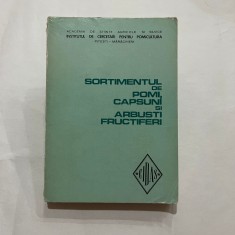 Sortimentul de pomi, capsuni si arbusti fructiferi