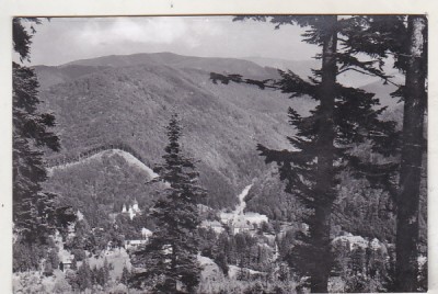 bnk cp Sinaia - Vedere spre Valea Rea - necirculata foto