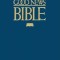 Large Print Bible-TEV
