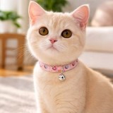 Zgardă pentru animale de companie, roz, cu model donut și clopoțel, reglabilă, CMCLASS
