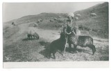 4540 - Cioban SHEPHERD, Ethnic man, Romania - old postcard - unused, Necirculata, Printata