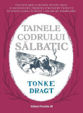 Tainele codrului sălbatic - Paperback - Tonke Dragt - Paralela 45
