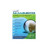 Math Mammoth Grade 3-A Worktext