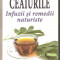 Ceaiurile infuzii si remedii naturiste-Joan Barp