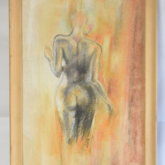 Nud feminin cu spatele - creioane colorate - datat 2018