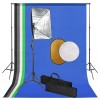 VidaXL Set studio foto cu lumini softbox, fundal și reflector