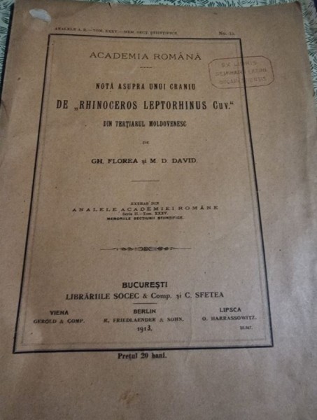 Gh. Florea, M. D. David - Nota asupra unui craniu de &quot;Rinoceros Leptorhinus Cuv.&quot;