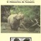 Indonezia1996 -Rinocerul de Sumatra și Java,Set WWF,6 poze,MNH,(vezi descrierea)
