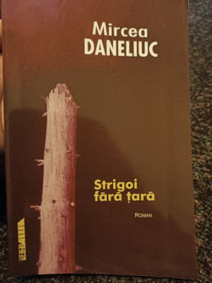 Mircea Daneliuc - Strigoi fara tara (2001) foto